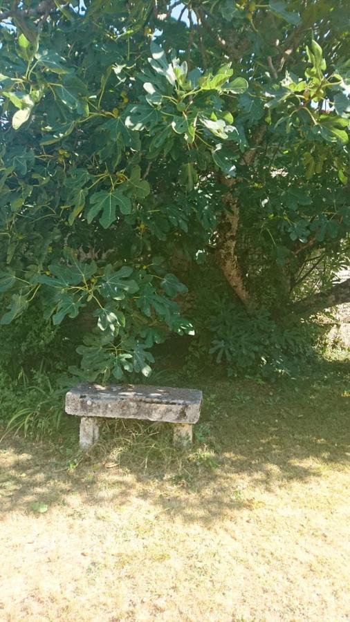 Fig Tree Barn Appartement Gibourne Buitenkant foto